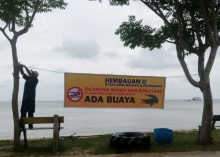 BPBD Buru Buaya di Pantai Mentok 