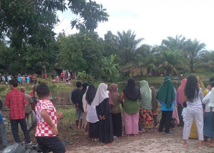 Breaking News! Anak Lima Tahun di Bukit Layang Diterkam Buaya