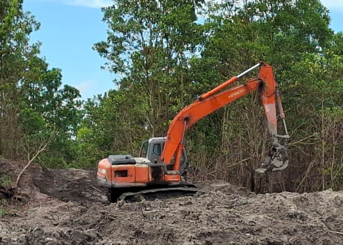 Tambang Timah Ilegal Rambah Kawasan Hutan Produksi Gunung Muda, Ditreskrimsus Turun ke Lokasi