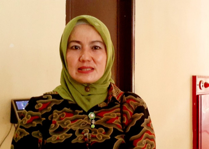 Helyana Diusulkan Jadi Plt Wakil Ketua DPRD Babel