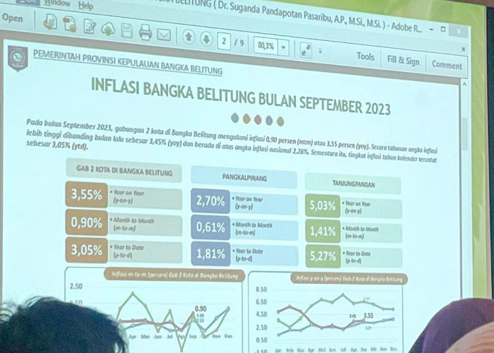 Inflasi Tertinggi se-Indonesia, Pemprov Kep. Babel Punya Opsi Penanganan