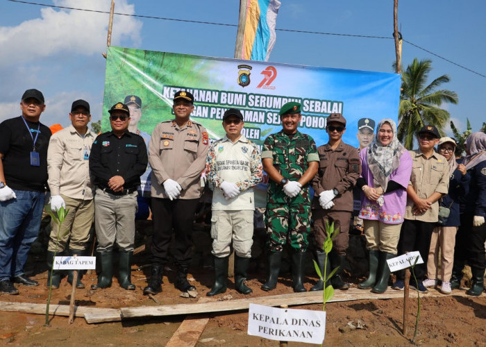 Pemkab dan Polres Bateng Tanam Ribuan Bibit Mangrove Di Desa Kurau
