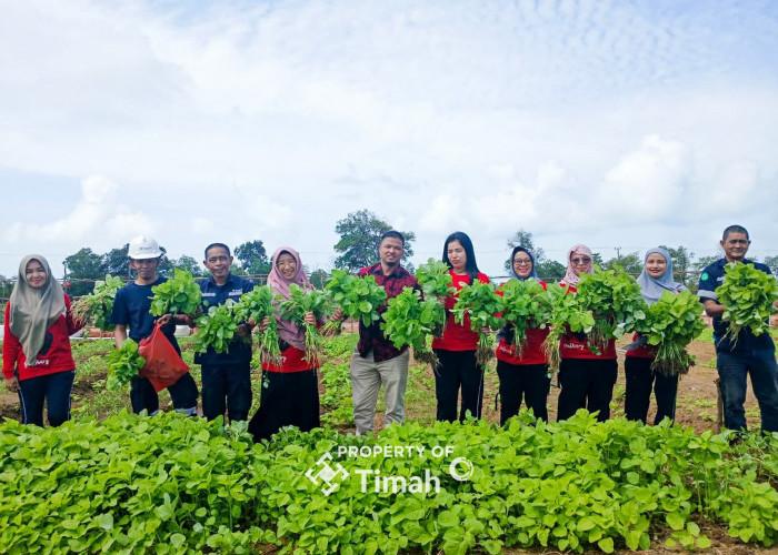 Tidak Hanya Dukung Ketahanan Pangan, Farm Estate Tanjung Ular Ciptakan Kesempatan Kerja Bagi Masyarakat 