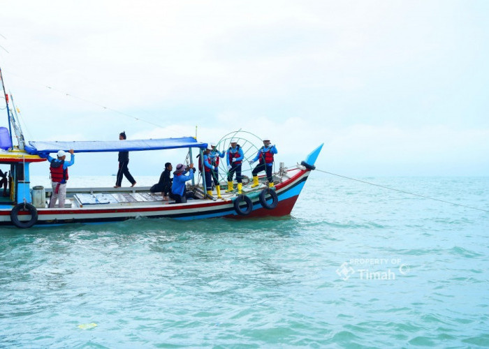 Reklamasi Laut PT TIMAH Tbk: 1.920 Unit Artificial Reef Ditenggelamkan untuk Pulihkan Ekosistem
