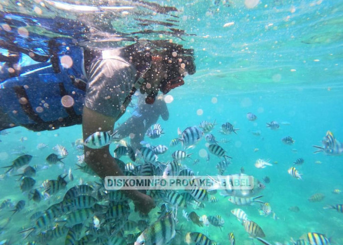 Potensi Wisata Laut Belitung Luar Biasa