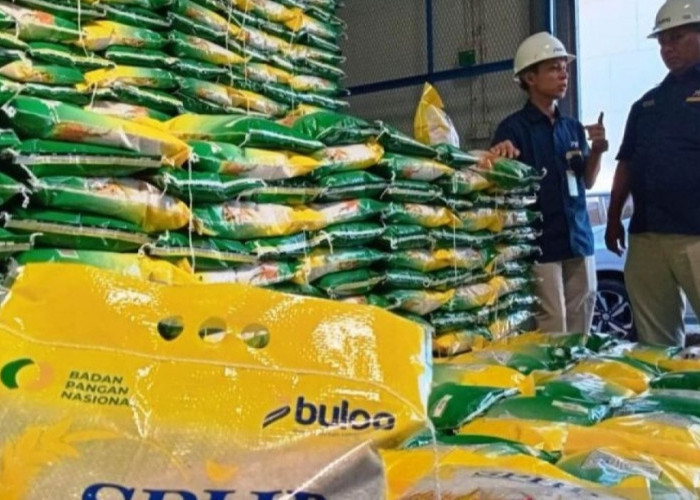 Babel Perkuat Stok Jaga Cegah Harga Beras Naik