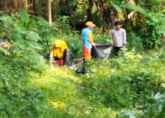Tanggapi Aduan Warga, Tim Gabungan Bersihkan Timbulan Sampah Liar di Jurang Pangka Lalang