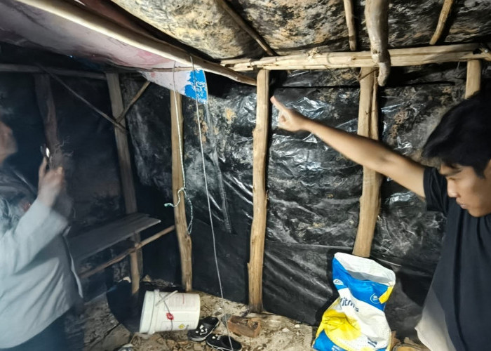 Pegawai Kelurahan di Belinyu Ditemukan Tewas Tergantung, Tinggalkan Surat Wasiat untuk Sang Ibu