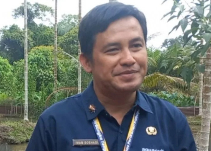 Produksi udang vaname Bangka Tengah capai 1.794,65 ton