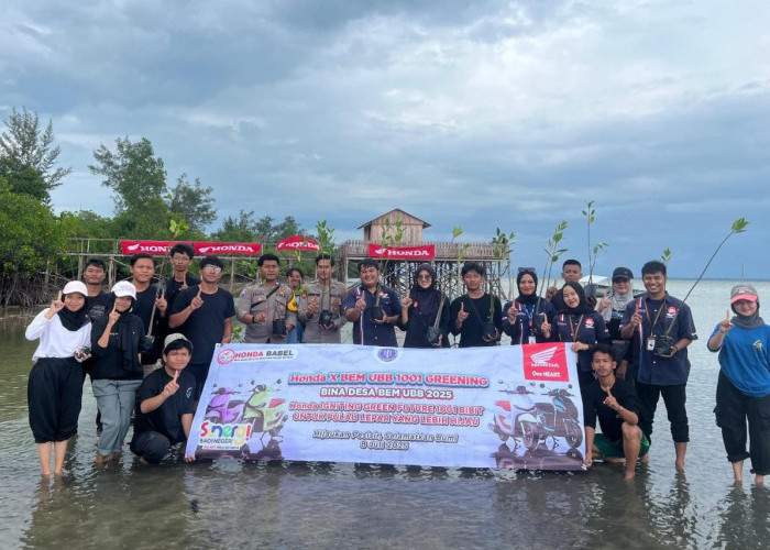 Hijaukan Pesisir dan Selamatkan Bumi, Honda Babel Bersama UBB Tanam 1001 Mangrove 