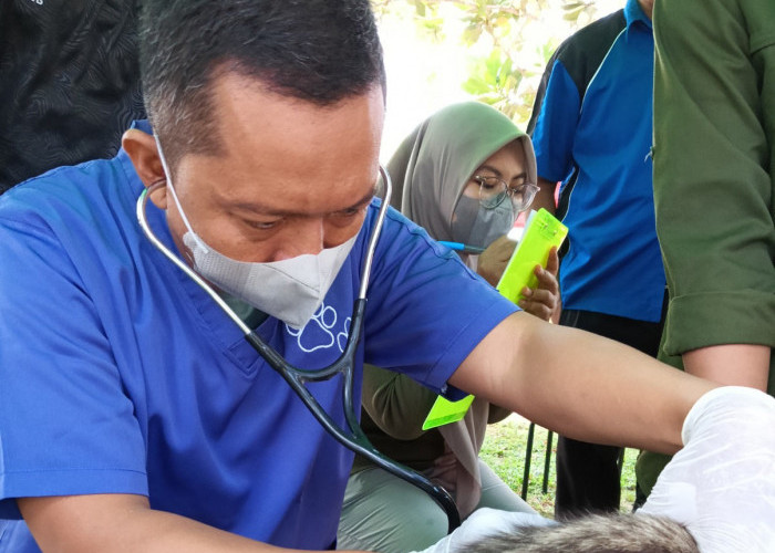 Bateng Status Bebas Rabies, DPKP Siapkan Kuota 100 Ekor Vaksinasi Rabies