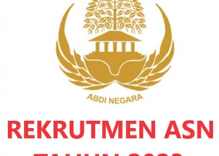 Ayo! Pendaftaran CPNS 2023 dan PPPK Dimulai. Pelamar Diminta Buat Akun di Portal SSCASN