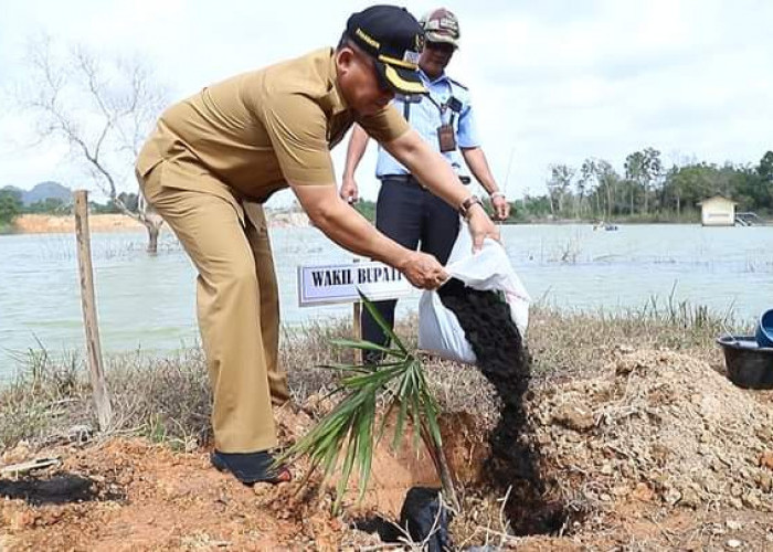 Penanaman 500 Pohon Tandai 31 Tahun PDAM Bangka