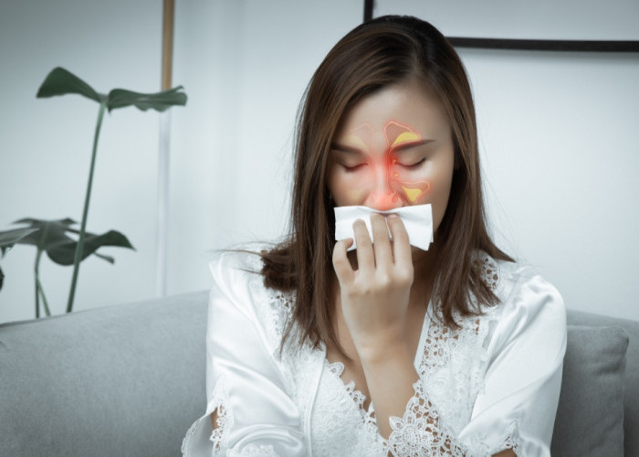 Sinusitis: Mengenal, Mencegah, dan Menangani  dengan Layanan THT di Siloam Hospitals Bangka
