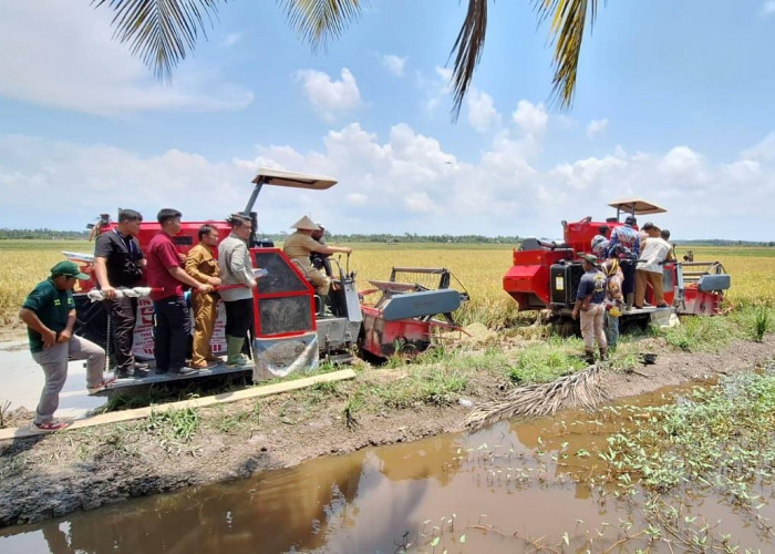 Panen Raya Padi di Rias, PJ Gubernur Harapkan Hal Ini Untuk Generasi Milenial