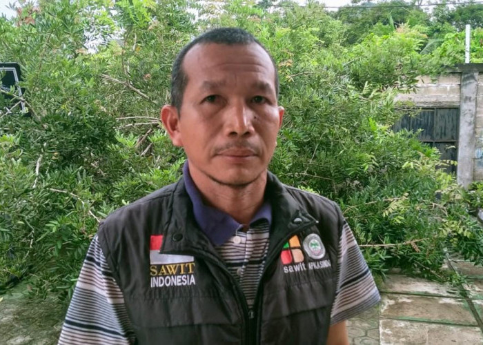 APKASINDO Bangka Kawal Jaminan Keselamatan Kerja Pekerja Sawit Rakyat