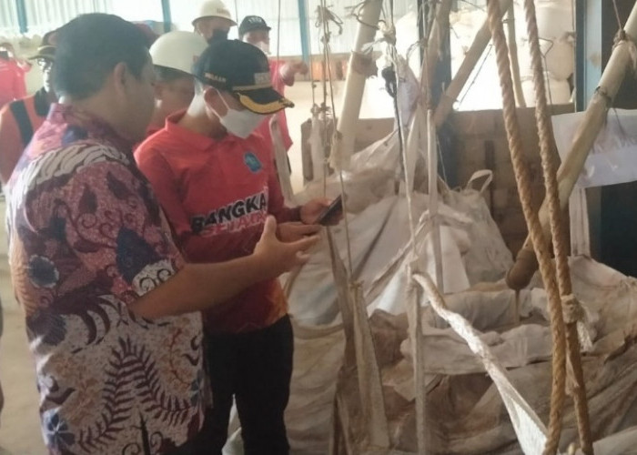 Perusahaan Ini Garap Logam Tanah Jarang di Bangka