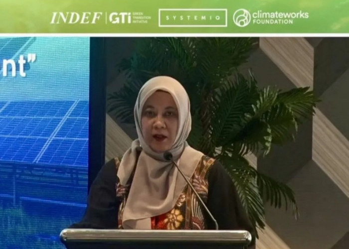 Kemenko Ekonomi: Transisi Energi Bagian Integral Pertumbuhan Nasional