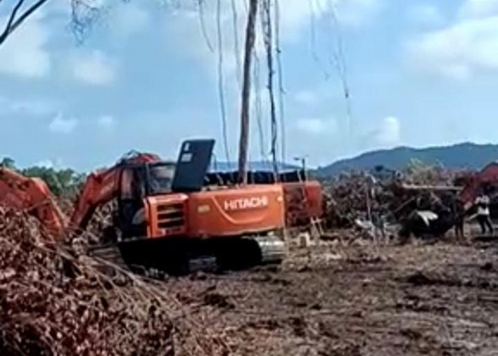 Puluhan Masyarakat Tanjung Labu Minta Penghentian Sementara Aktivitas Perluasan Lahan Perkebunan Sawit