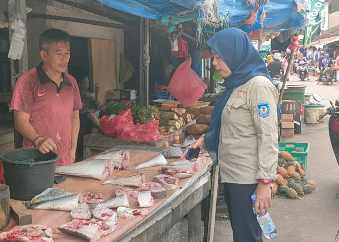 Akibat Cuaca Ekstrem, Harga Ikan di Pasar Toboali Alami Kenaikan, Tenggiri Capai 65 Ribu Per Kilogram 