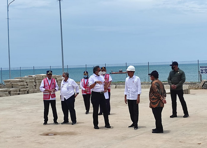 Tinjau Pelabuhan Tanjung Ular, Jokowi Sebut Pengelola Sementara oleh Kemenhub