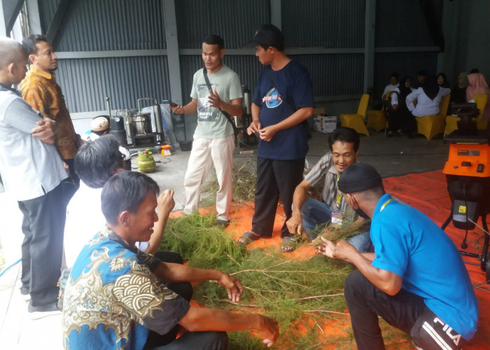 Warga Dukung Kembangkan Potensi Sapu-sapu Jadi Minyak Atsiri Khas Babel