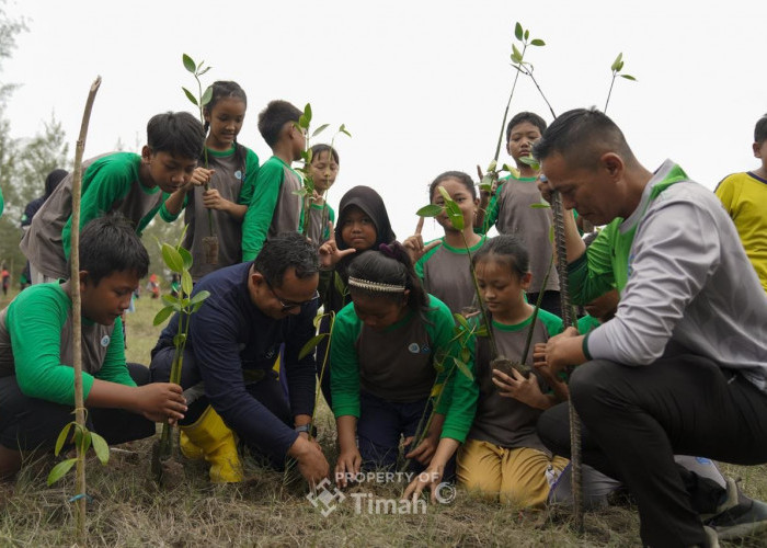 PT Timah Perkuat Reklamasi Lahan Pasca-Penambangan untuk Lestarikan Keberlanjutan Lingkungan