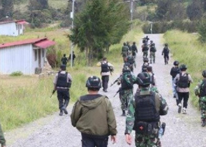 Hadapi KKB Papua, TNI Tak Gentar   Hadapi Kogoya yang Sadis dan BrutaL