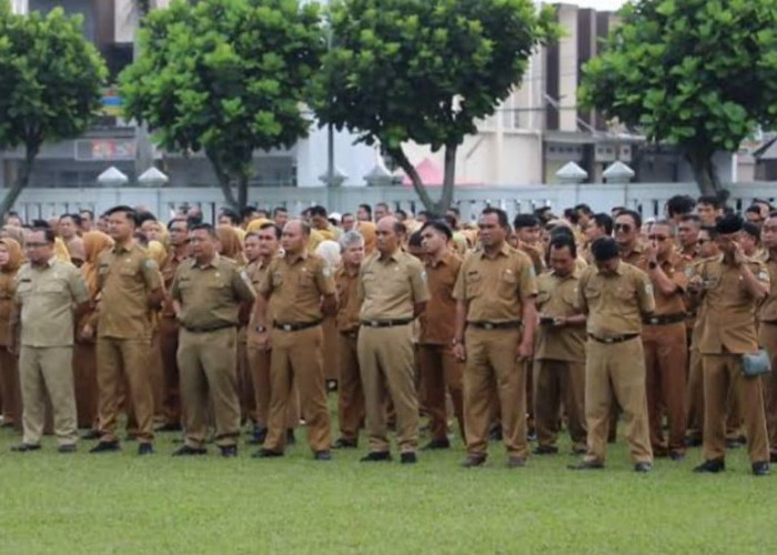 Penundaan Pengangkatan CPNS Karena Efisiensi?