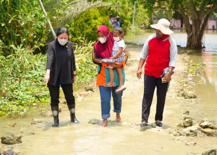 Punya Kerja Nyata, Elektabilitas Puan Maharani Jadi Presiden Meningkat Pesat