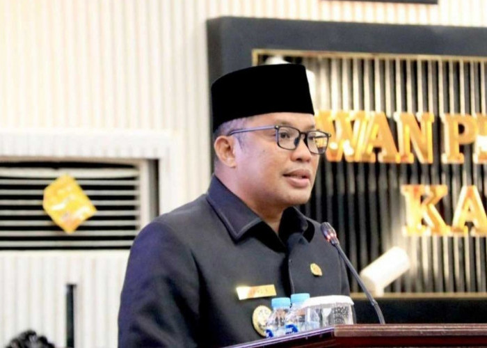Raperda Pelestarian Batu Satam Belitung Disambut Positif, Pemkab Tekankan Manfaat Ekonomi