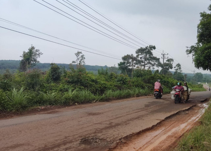 Ruas Jalan Koba - Lubuk Besar Rusak Parah, Dengar Keluhan Warga Ini 