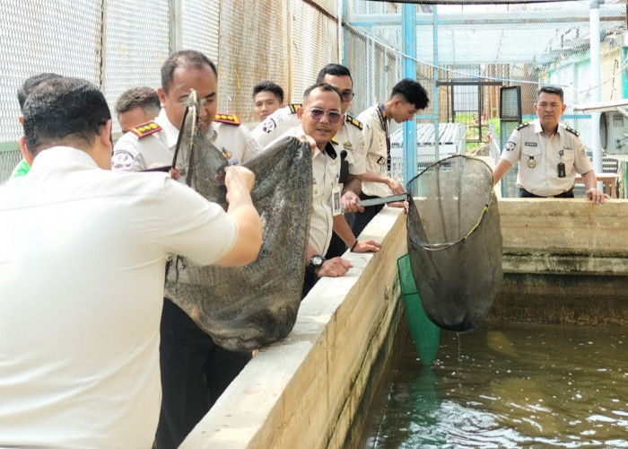 Panen 70 Kg Lele, Lapas Narkotika Pangkalpinang Dorong Warga Binaan Mandiri dan Dukung Ketahanan Pangan