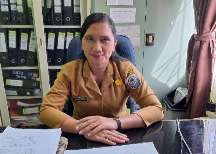 PPPK  di Basel Banyak Ajukan Perceraian, ASN Juga Ada, BKPSDMD Sebut Ini 
