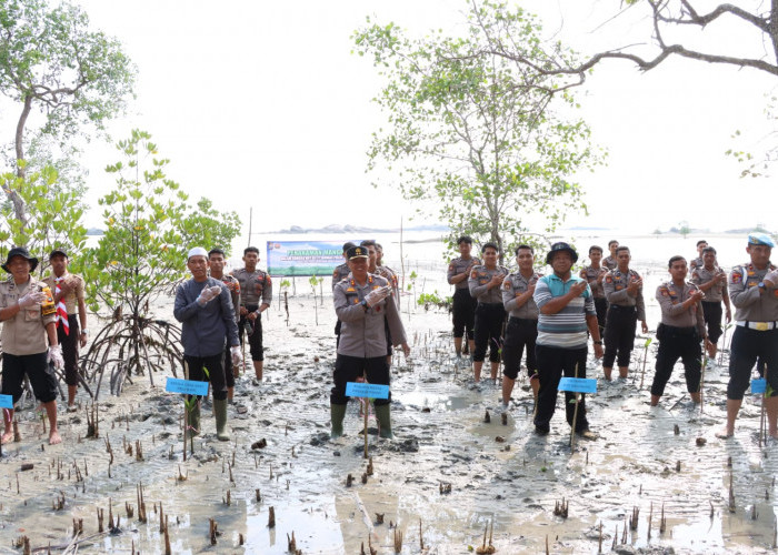 Sambut HUT Humas Polri ke-72, Polresta Pangkalpinang Tanam Mangrove di Pantai Telapak Antu Desa Batu Belubang