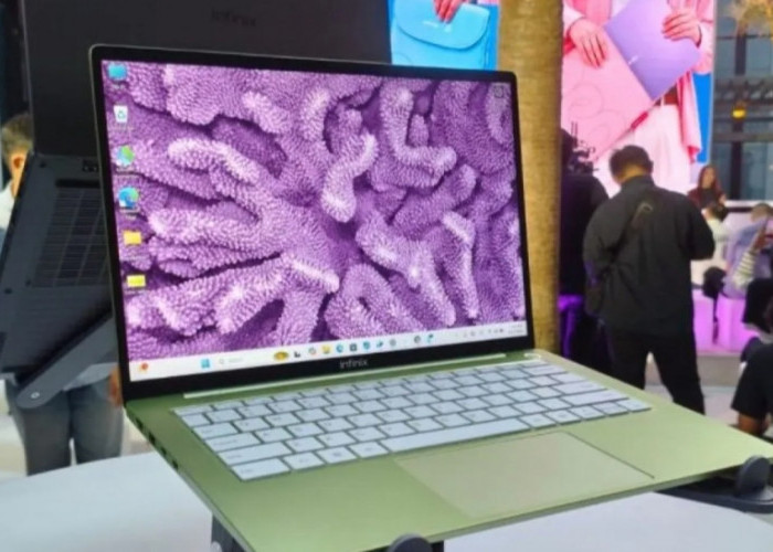 Laptop Infinix Ini Cocok untuk Produktivitas Kamu, Harga Mulai Rp 7 Jutaan