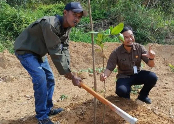 DLH Pangkalpinang Intensifkan Pelestarian Pohon Endemik Cegah Punah