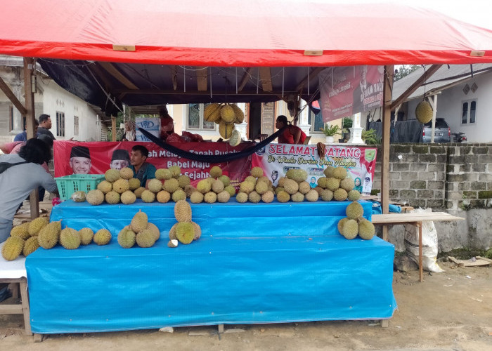 Durian Jantung Jadi Favorit, Pedagang Ini Raup Belasan Juta