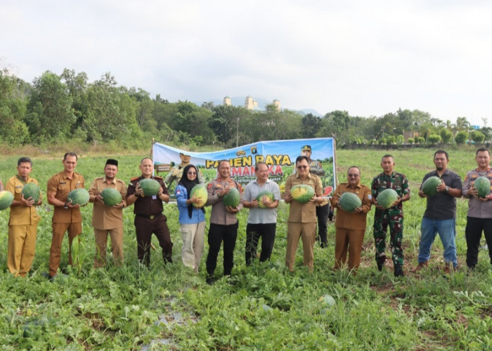 Polres Bangka Barat Sulap Lahan Kritis Menjadi Kebun Produktif