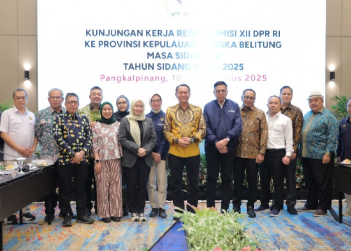 Pemprov Babel Usulkan Tambahan Kuota Elpiji 3 Kg untuk RTM dan UMKM