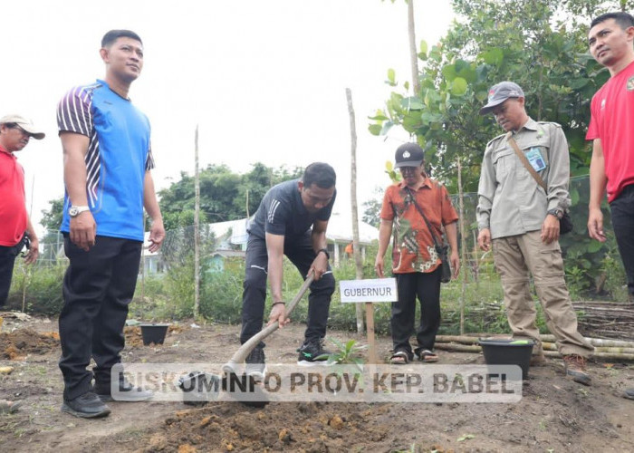 Penanaman Pohon Alpukat di Desa Kacung, Bentuk Simbolis Ketahanan Pangan