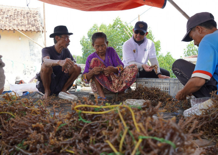 Ini Upaya Kliring Berjangka Indonesia Mendukung Petani Rumput Laut 