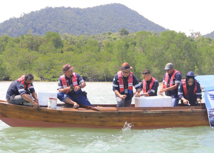 Jaga Populasi Kepiting Bakau, PT Timah Lepaskan Ribuan Bibit Kepiting di Perairan Kundur dan Karimun