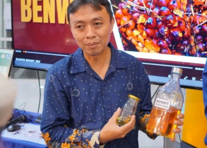 Menyalakan Negeri dari sawit