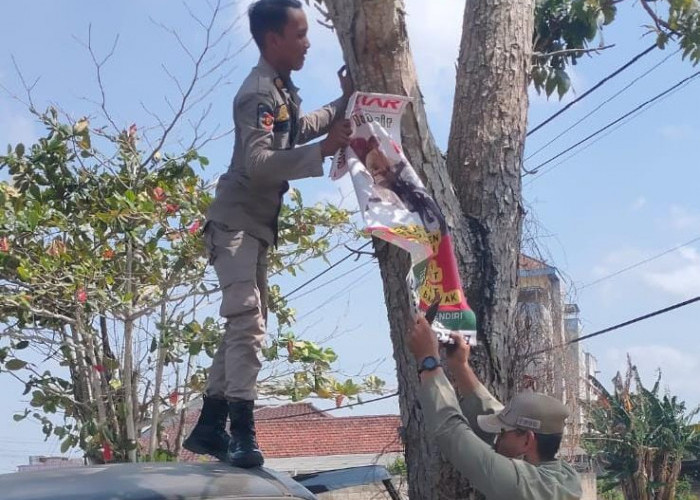 Satpol PP Bangka Kembali Copot Spanduk Rokok Tak Berizin dan Melanggar Zonasi 
