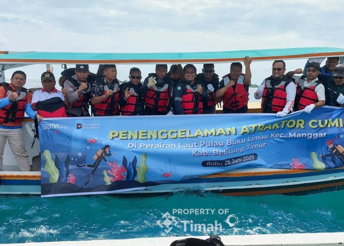 Tak Hanya Artificial Reef, PT Timah Juga Tenggelamkan Atraktor Cumi pada Tahun 2025 di Belitung Timur    