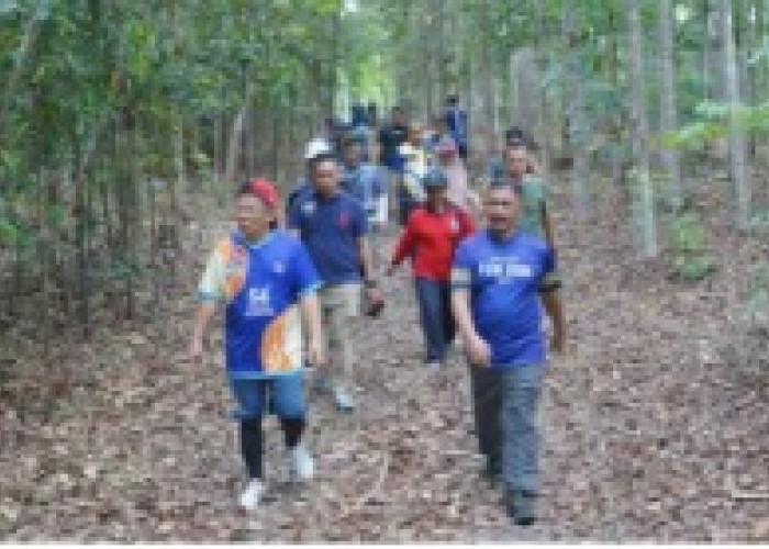 Merintis Hutan Kulur Bersama Hash Korpri Bangka Tengah