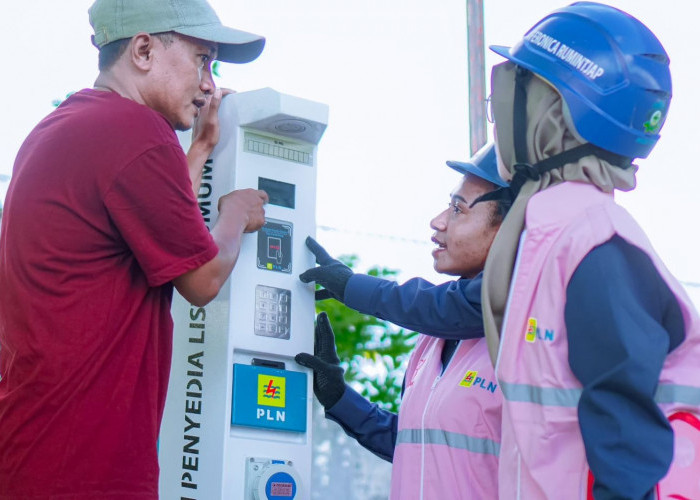 Penuhi Kebutuhan Pelanggan, PLN Sukses Tambah Jumlah SPKLU hingga 299% di Seluruh Indonesia Sepanjang 2024