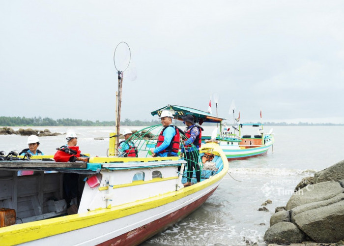 Laut Lestari, Bisnis Berkelanjutan: Ini Strategi PT Timah Jaga Ekosistem Laut dengan Aritificial Reef 