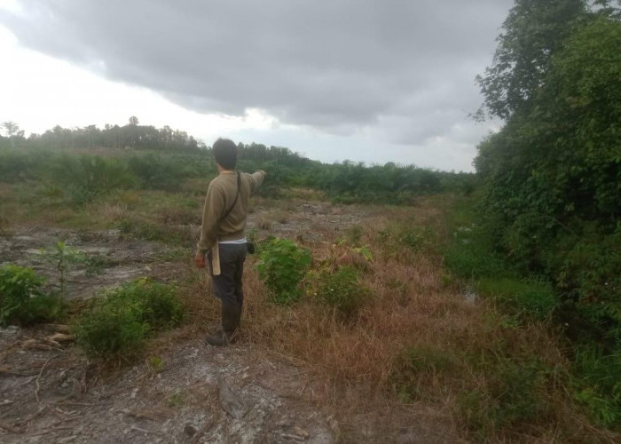 Dugaan Ratusan Hektar Lahan Sawah Serdang Beralih Fungsi Jadi Perkebunan Sawit Perusahaan, BPD: Memprihatinkan